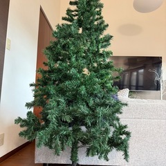 クリスマスツリーの画像