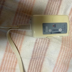 電気カーペットの画像