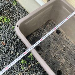 立って植えれる？プランター②の画像