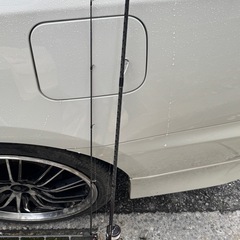 セフィアSSの画像