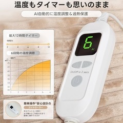 電気毛布 AI自動温度調整 洗濯OK 6段階温度調整 自動オフ 120×60cmの画像