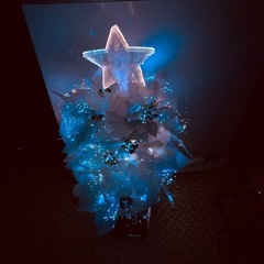 クリスマスツリー　　の画像