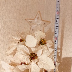 クリスマスツリー　　の画像