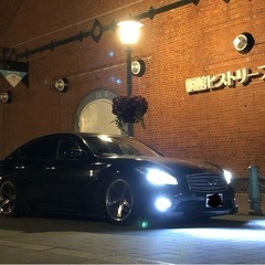 Y51 白色 フォグライトの画像