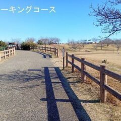 ひきこもRun！の画像