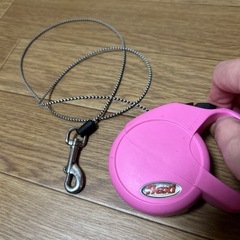 flexi フレキシリード　ピンク　犬の画像