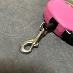 flexi フレキシリード　ピンク　犬の画像