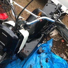 HONDA ZOOMER  不動の画像