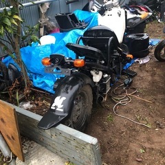 HONDA ZOOMER  不動の画像