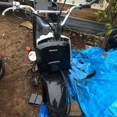 HONDA ZOOMER  不動の画像