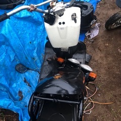 HONDA ZOOMER  不動の画像