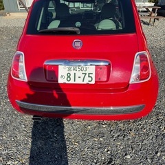 ⭐︎フィアット500⭐︎の画像
