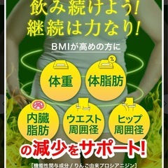 LAVA QTTODOWN ラバ キュットダウン 90粒 10袋 の画像