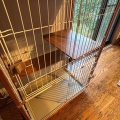 猫 ゲージの画像