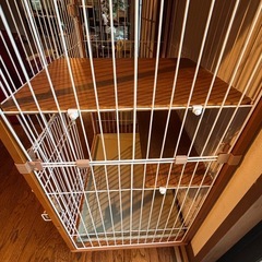 猫 ゲージの画像