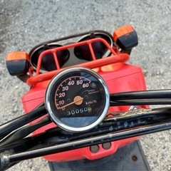 ホンダ ズーマー50 AF58 実働の画像