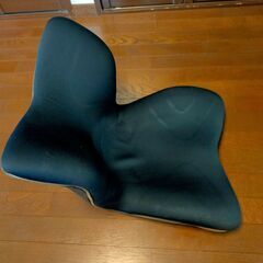 【無料でお譲りします】スタイル プレミアム シリーズ/Style PREMIUM Series MTG エムティージー 骨盤サポートチェア 座椅子 ミーティングチェア (シート（PREMIUM）, ブラック)の画像