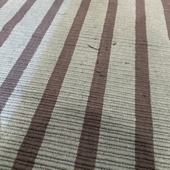 IKEA VAGSKYLT ヴェグシールト ラグ 平織り 80x150の画像