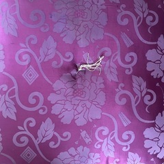 お坊さん用座布団の画像