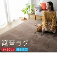 遮音カーペット ラグ ブラウンの画像