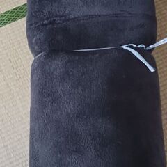 遮音カーペット ラグ ブラウンの画像