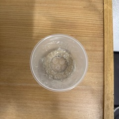 未使用TWINBIRD 精米御膳MR-D570の画像