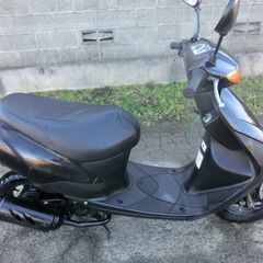 ★スズキレッツ２★の画像