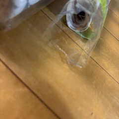 (お話中)食器棚シート の画像