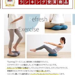 未使用品！エアシェイプマット fuuming フーミン バランス クッションの画像