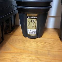 根っこつよし30個セットの画像