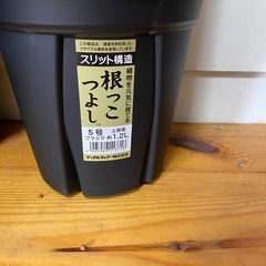 根っこつよし30個セットの画像