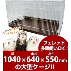 ペット　フェレット多頭飼い　大型ケージの画像