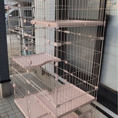 キャットゲージの画像