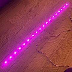 変色ライトの画像