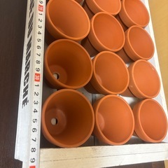 ★引き取り限定★ ミニ植木鉢 15個＋木製トレー②の画像