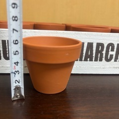 ★引き取り限定★ミニ植木鉢15個＋木製トレー③の画像