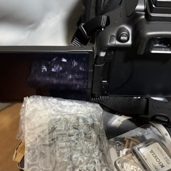 Nikon D5300 (+防湿庫セット)の画像