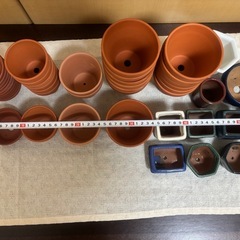 ★引き取り限定★ミニ植木鉢いろいろまとめての画像