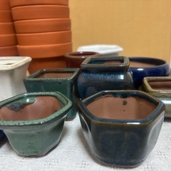 ★引き取り限定★ミニ植木鉢いろいろまとめての画像