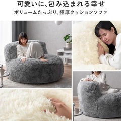 エア・リゾーム クッションソファの画像