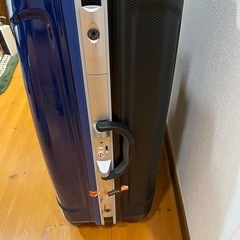 大きめ　キャリーケースの画像