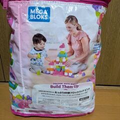 メガブロックの画像