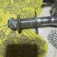 蛇口の画像