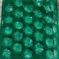 グリーントレー　フルーツ用
の画像