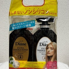 新品　ダイアン　シャントリ　セットの画像