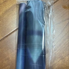 【新品・未開封】うみぼうず（きんにくぽよぽよ） 風真いろは B2タペストリーの画像