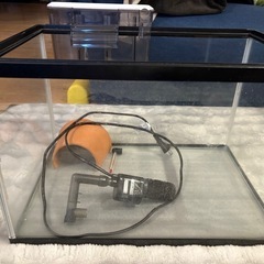 【無料】GEXアクリル水槽 の画像