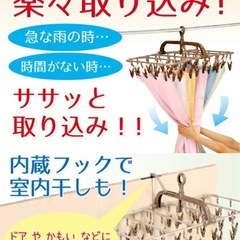 ピンチハンガー アルミハンガー ひっぱる ワンタッチ 洗濯バサミの画像