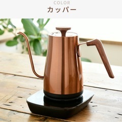 電気ケトル　山善　温度調節可能　細口の画像