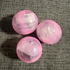 未開封  ビションフリーゼ カプセルのままの画像